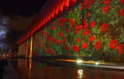 Anzac Projections on NGV 4