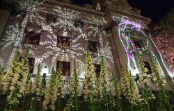 Melbourne Town Hall 12