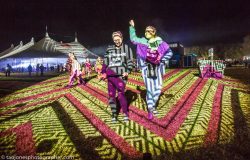 SplendourArts_OpiticalOvalWeb5