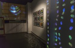 Reflective INK 5
