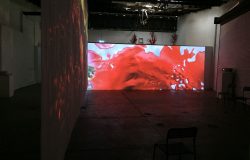 LIGHT IMPACT 6