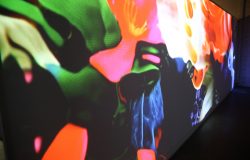 LIGHT IMPACT 1