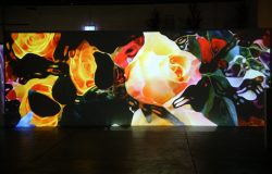 LIGHT IMPACT 2