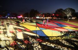 IMG_0363_1