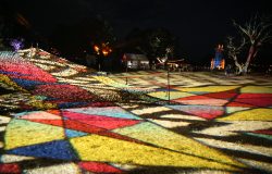 IMG_0401_1