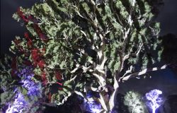 IMG_0463_1