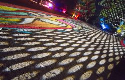 IMG_0641_1