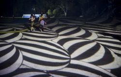IMG_8463_1