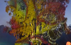 IMG_8465_1