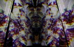 Naive_01