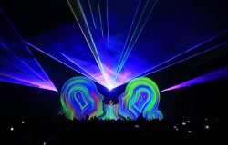 Paradigm Festival