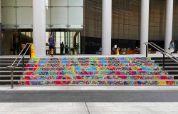 ANZ_Steps_Martigrass_web2