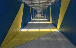 IMG_8730